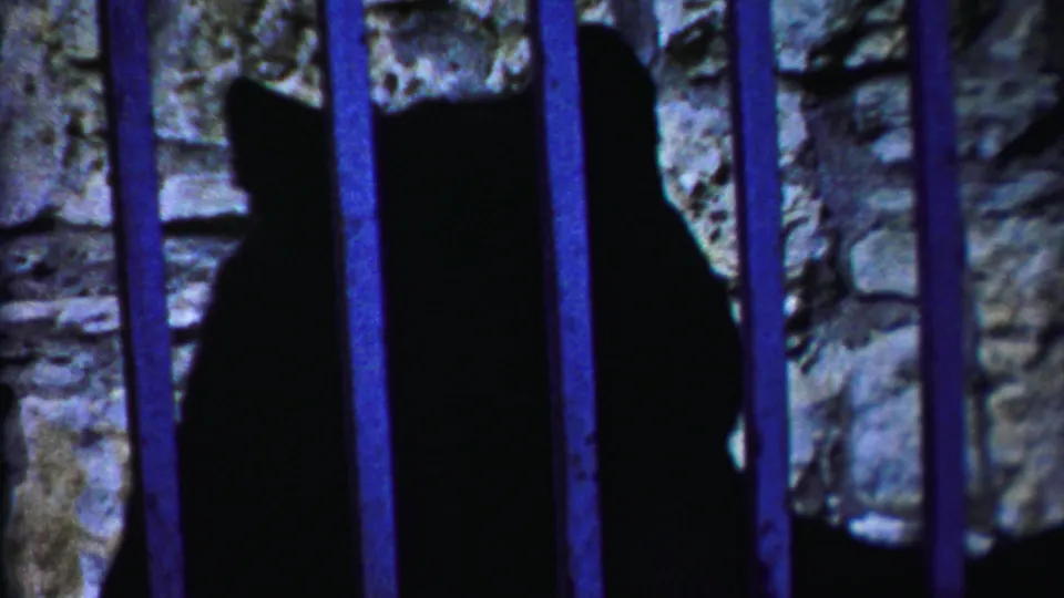 Visitor-shot 8mm view of a large dark animal moving behind blue bars in a stone enclosure, identified cautiously as bear-like.