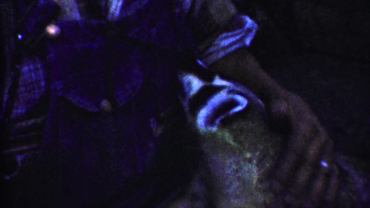Close view of the dog beside a person's torso and arm in dark purple light.