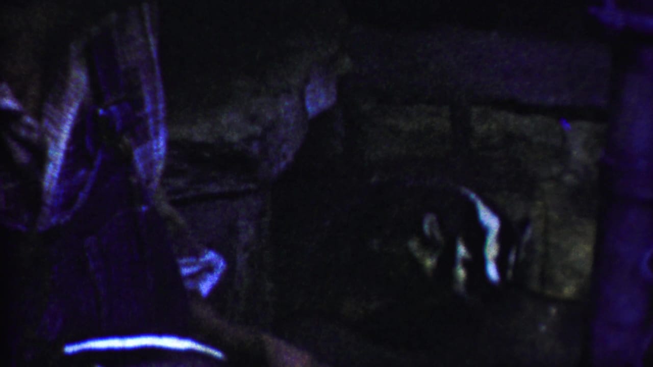 Dark zoo cage with a large animal partly visible behind bars.