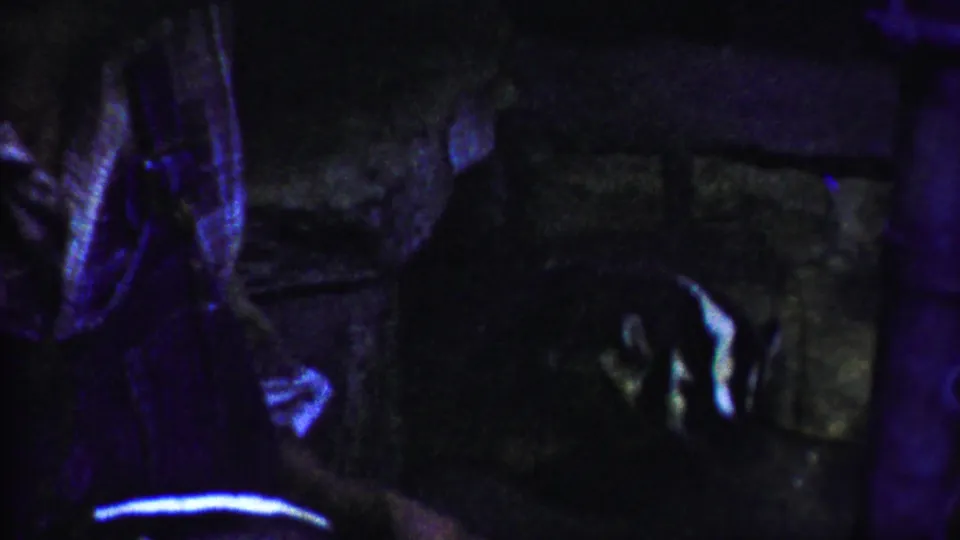 1958 Kansas 8mm frame showing a dim zoo enclosure with a large likely tiger shape partly obscured by metal bars.
