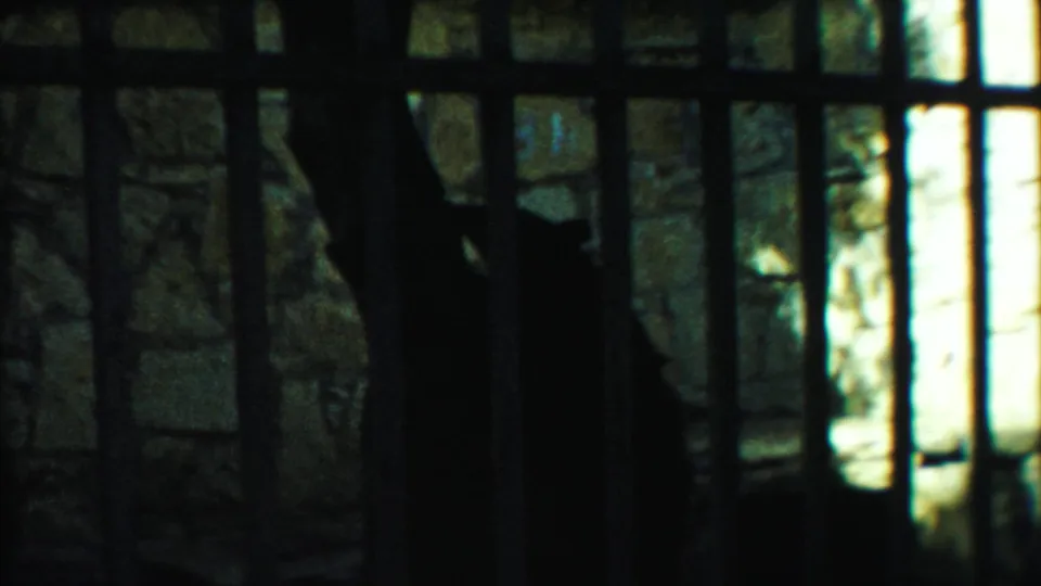 Dim 1958 zoo footage from Kansas shows metal bars, stone enclosure walls, and a dark animal silhouette near bright backlight.