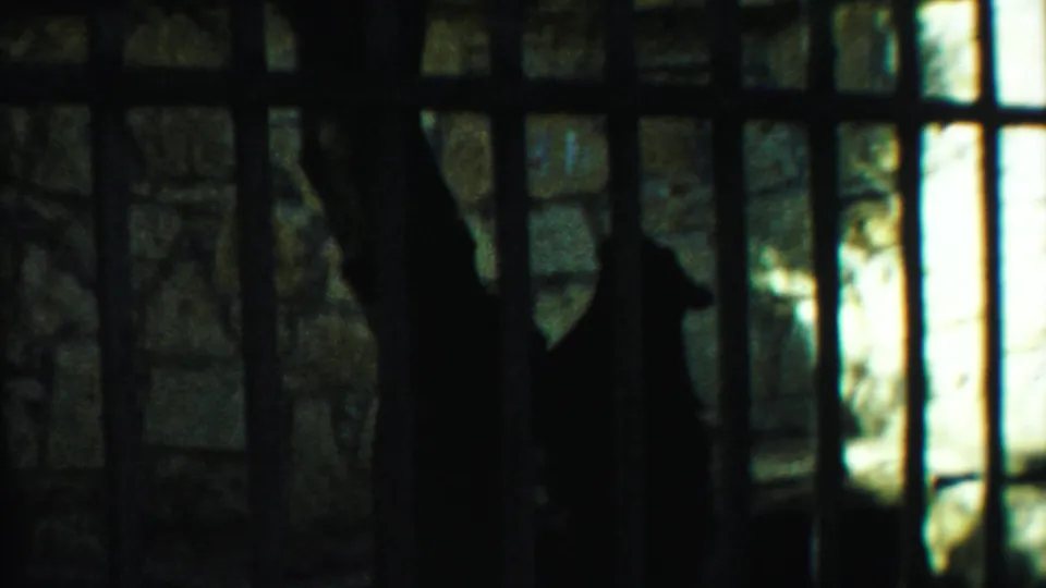 A shadowed zoo enclosure in the 1958 Kansas home movie shows heavy bars, stone walls, and bright vertical light beyond the cage.