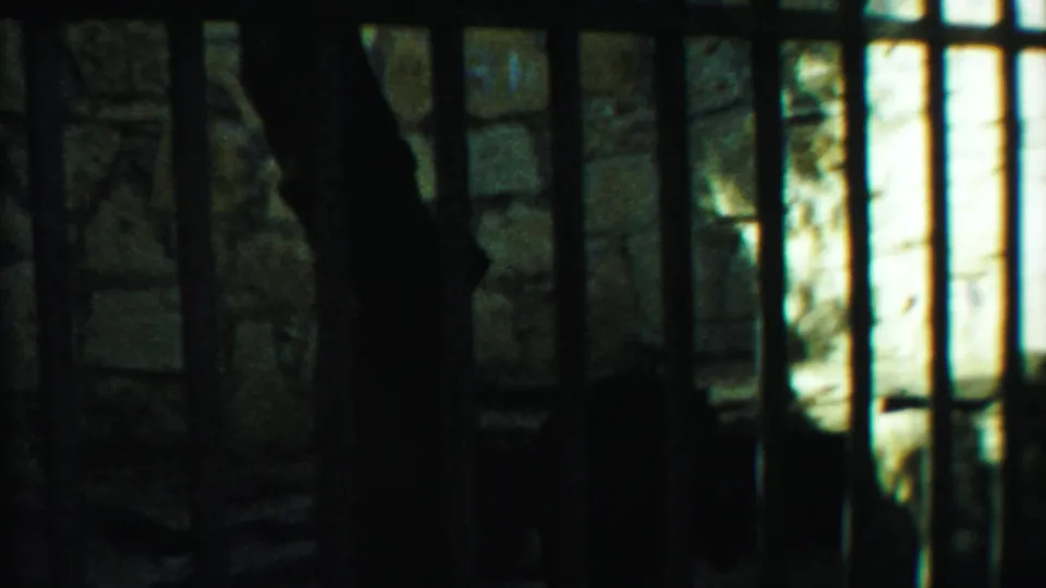 The closing 1958 Kansas frame shows a dark likely tiger silhouette behind bars beside a bright stone wall inside the zoo enclosure.
