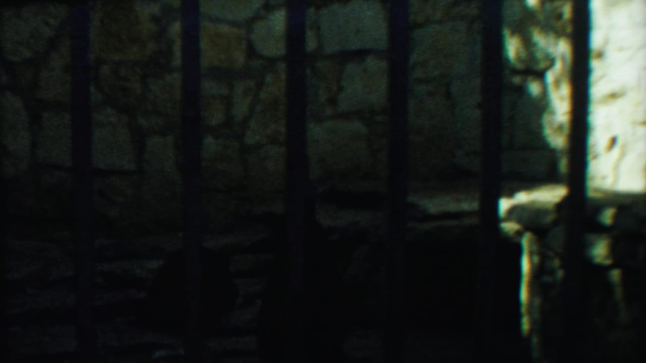 1958 8mm frame from Cheyenne County, Kansas, showing a dark bear shape behind bars against a rough stone wall.