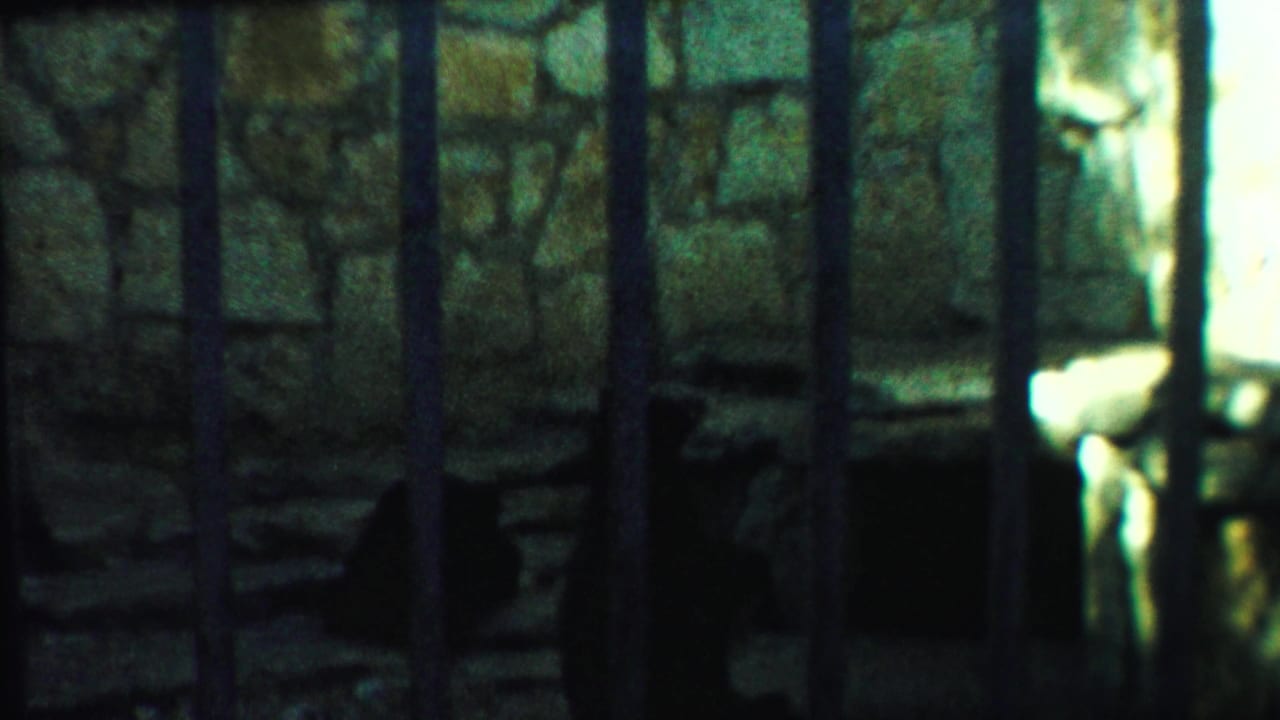 Stone zoo cage with vertical bars and a dark bear shape near the wall.