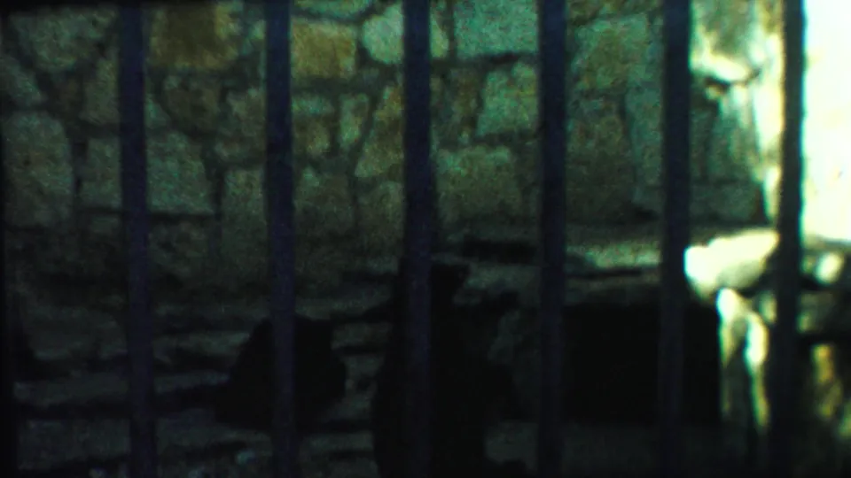 The bear remains in deep shadow behind bars in a stone-walled enclosure, filmed on 8mm in 1958 Kansas.