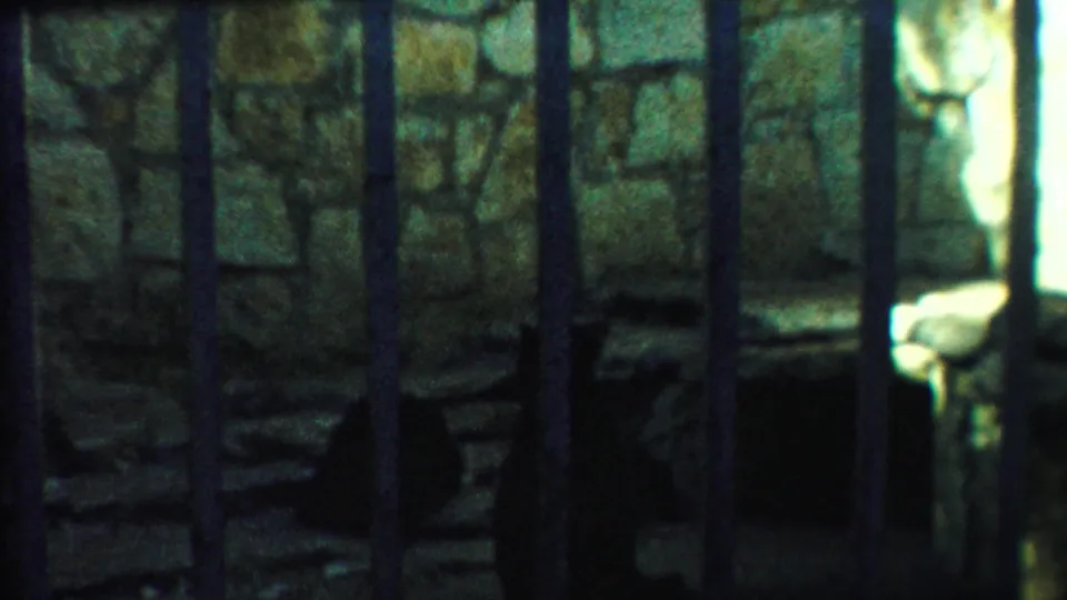A shadowed bear moves behind the vertical bars of a stone zoo cage in this 1958 Cheyenne County, Kansas, home-movie frame.