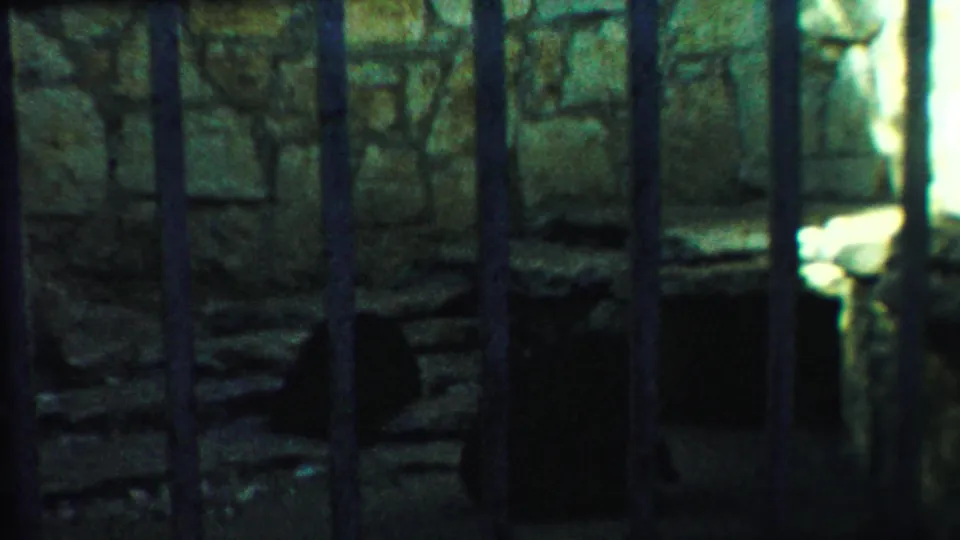 1958 8mm frame from Kansas showing a dark bear shape behind vertical cage bars against rough stone enclosure walls.
