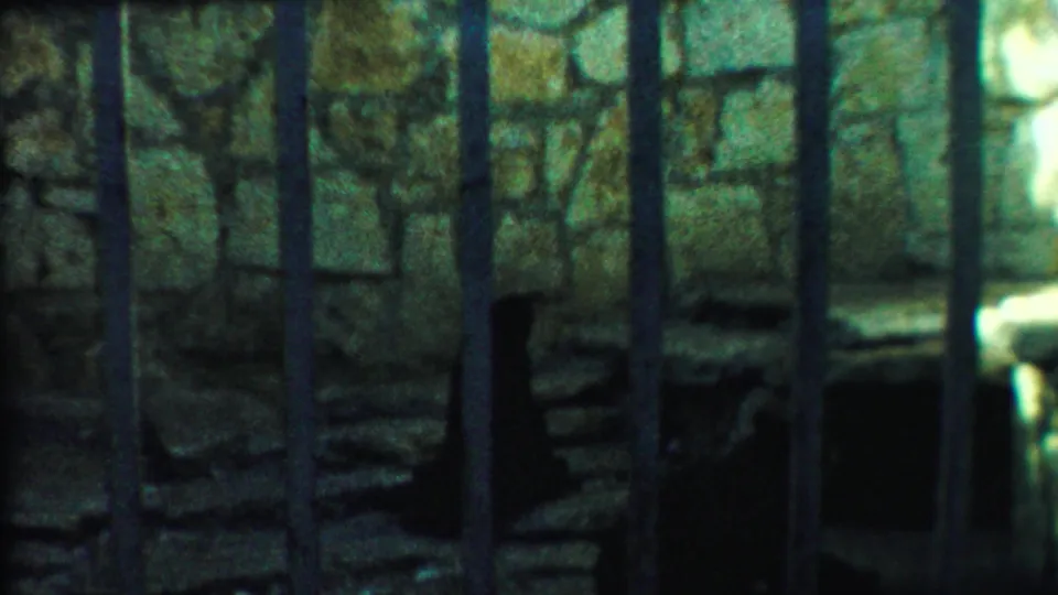 Visitor-shot 1958 8mm view of a bear enclosure in Kansas, with bars crossing a rough stone wall and a dark animal silhouette below.