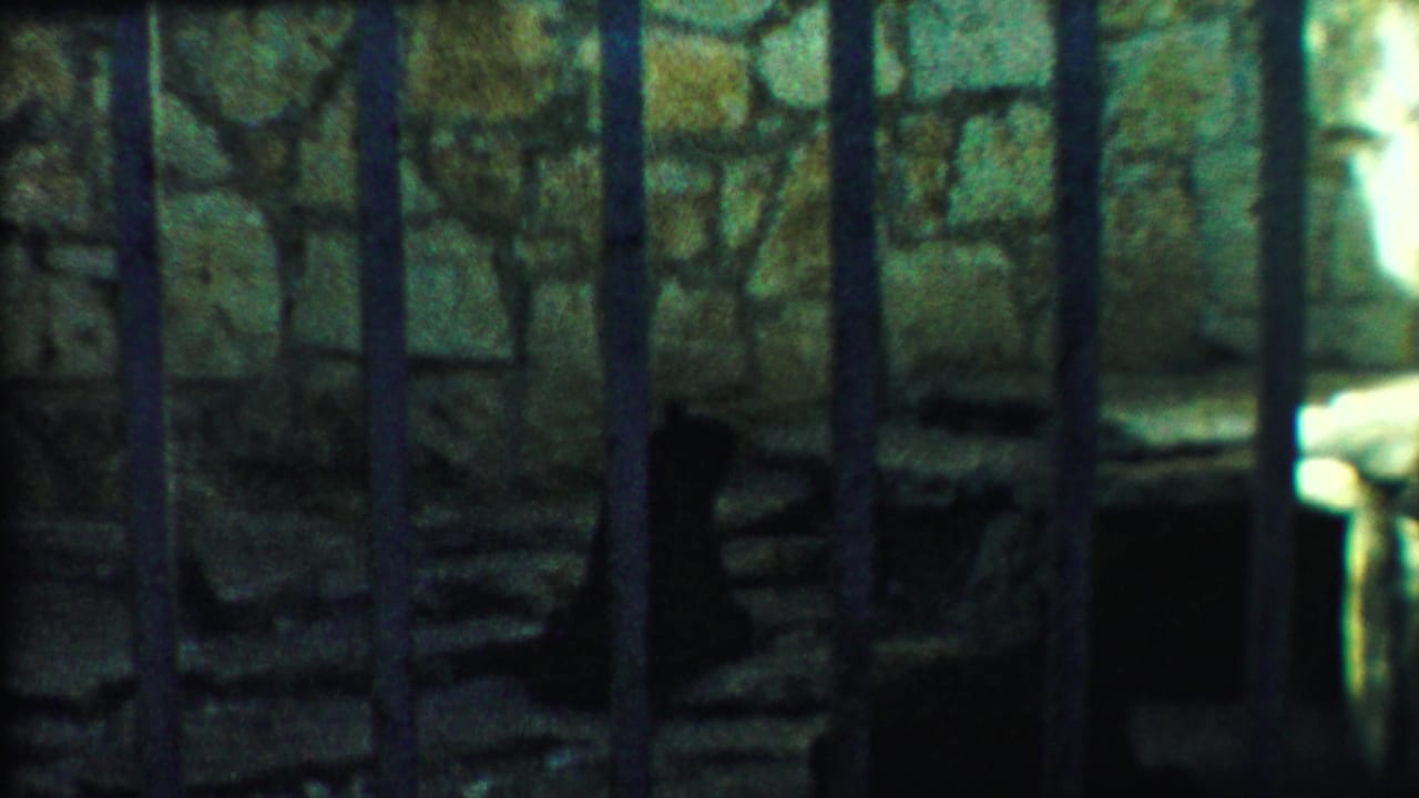 A bear stands or moves in shadow behind vertical metal bars inside a stone zoo enclosure, consistent with the 1958 Kansas clip metadata.