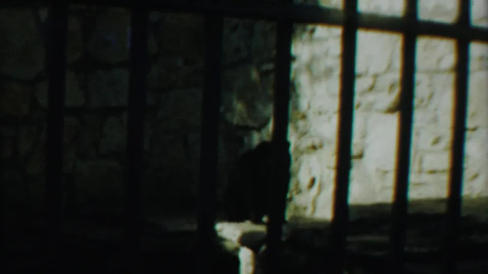 The bear is partly hidden by enclosure bars and shadow beside a bright section of rough stone wall, ending the short zoo view.