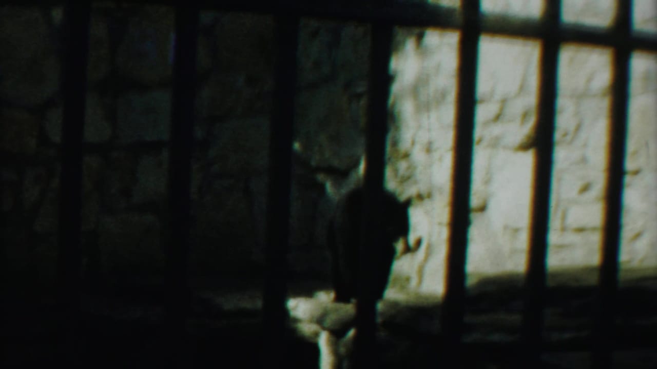 1958 Kansas 8mm frame showing a bear partly silhouetted behind cage bars against a rough stone zoo enclosure wall.