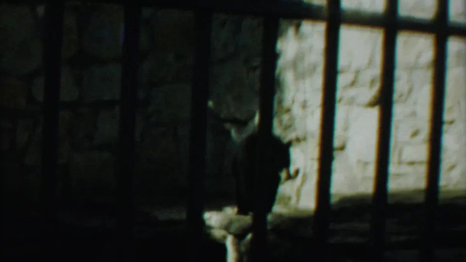 1958 Kansas 8mm frame showing a bear partly silhouetted behind cage bars against a rough stone zoo enclosure wall.