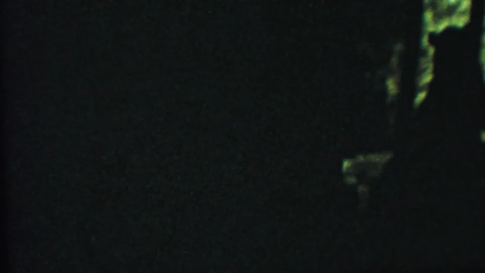 A low-light 8mm frame shows the bear as a dark shape near the bars of a stone-walled Kansas zoo enclosure.