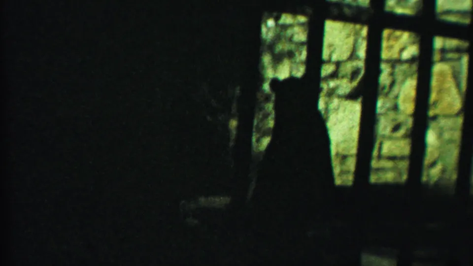 1958 Kansas home-movie frame of the bear silhouetted beside cage bars, with rough stonework visible in the light behind it.
