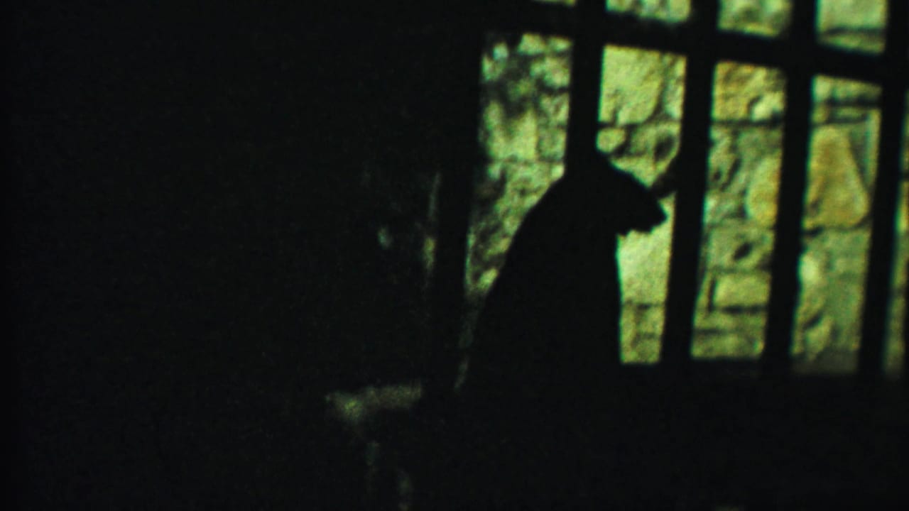1958 8mm frame from Kansas metadata showing a large feline silhouette inside a barred zoo enclosure.