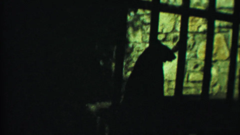 1958 8mm frame from Kansas metadata showing a large feline silhouette inside a barred zoo enclosure.