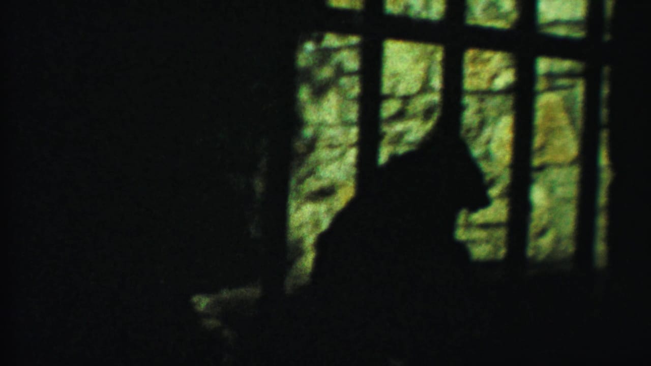 Large cat silhouette standing near cage bars in a dim enclosure.