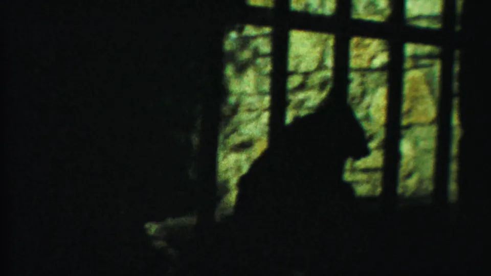 A dark large-cat profile stands behind bars in the dim zoo enclosure, with stonework visible outside or behind it.