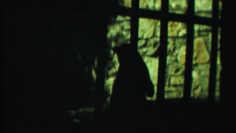 The large feline appears lower in the frame behind the bars, partly obscured by deep shadows and film grain.