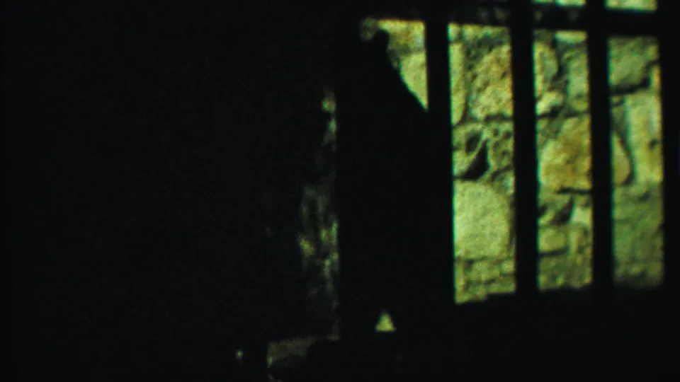 The animal is partly obscured in silhouette near the right side of the barred enclosure, with stonework visible through the openings.