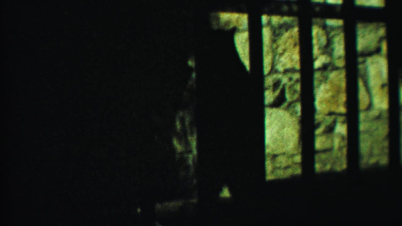 In 1958 Cheyenne County, Kansas 8mm footage, a bear appears as a dark silhouette behind enclosure bars near a stone wall.