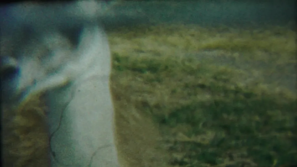 The final 8mm frame crops the deer's head and neck close to the lens, with grassy ground filling the background.