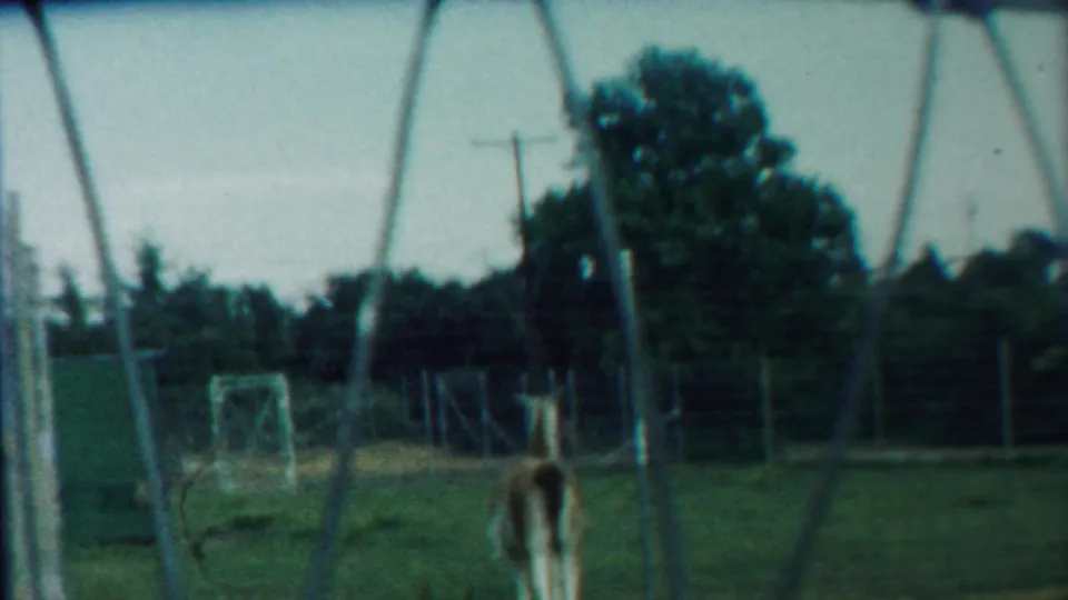 1958 Kansas 8mm frame showing a deer-like animal in a fenced grassy enclosure with trees and utility poles beyond.
