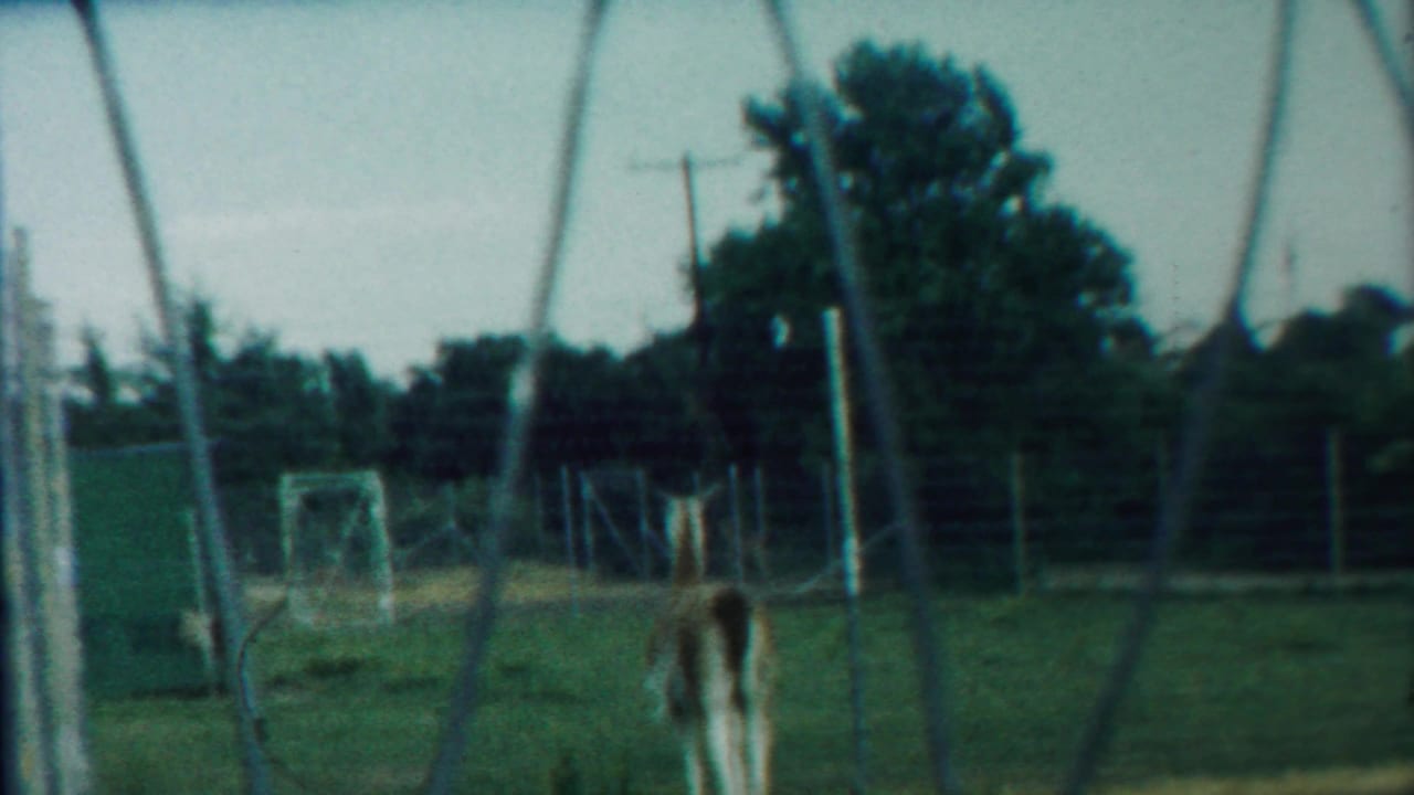 Fenced animal enclosure with a deer-like animal partly visible near the center.