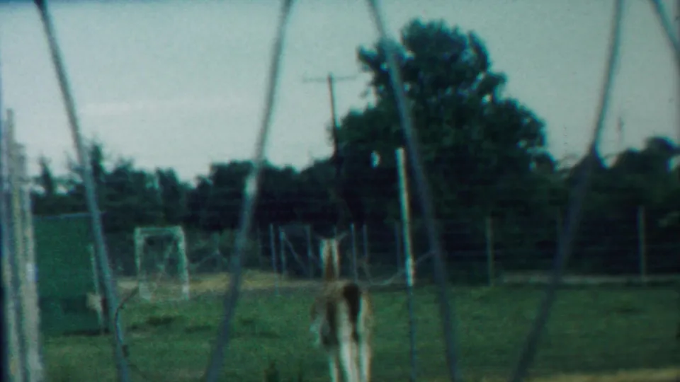 1958 Kansas home-movie view through chain-link fence toward a deer-like animal in a green zoo or wildlife-park pen.