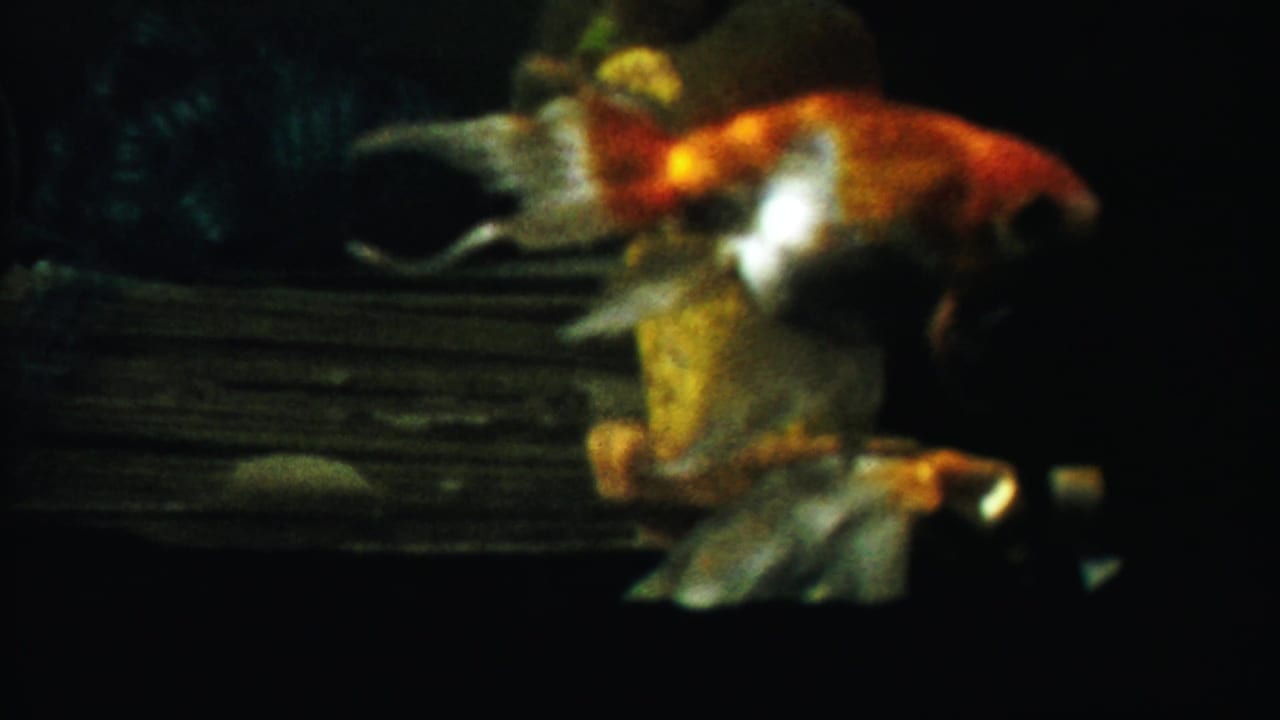 1958 Kansas 8mm frame of a goldfish passing a yellow rock-like ornament inside a dim aquarium.