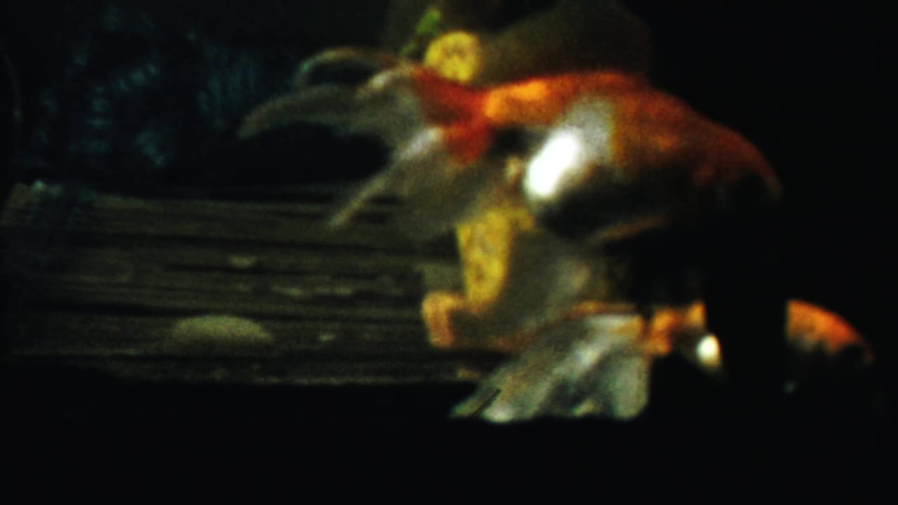 Goldfish partly turned beside a yellow ornament and dark aquarium backdrop.