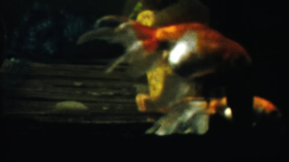 Goldfish with orange, white, and dark scales moves beside the yellow aquarium ornament in the 1958 Kansas home movie frame.