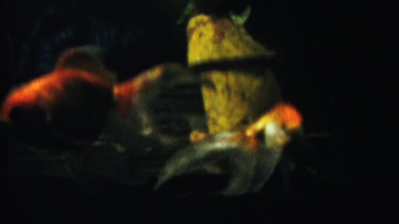 Blurred goldfish cluster near a yellow tank decoration in low light.