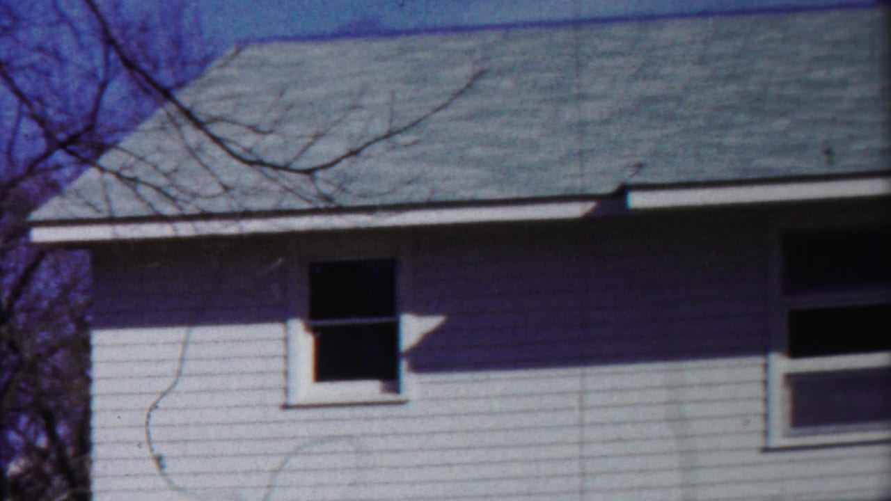 White house wall, gray roof, two dark windows, bare branches, and blue sky.
