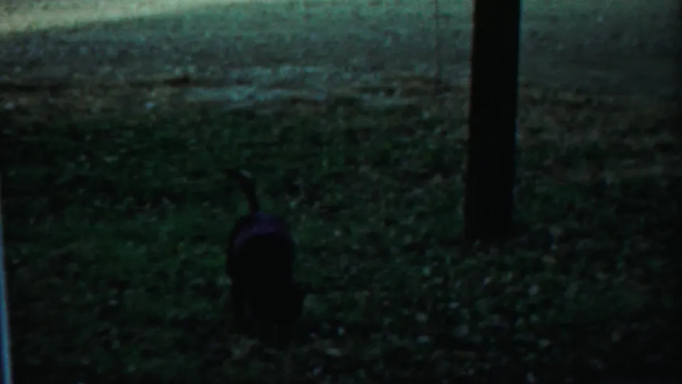 A dark dog crosses a dim grassy lawn in a candid 8mm home-movie frame from the same Kansas reel.