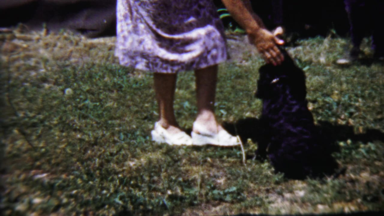 1958 Saint Francis, Kansas yard scene with a woman in a patterned dress reaching toward a black dog on the grass.