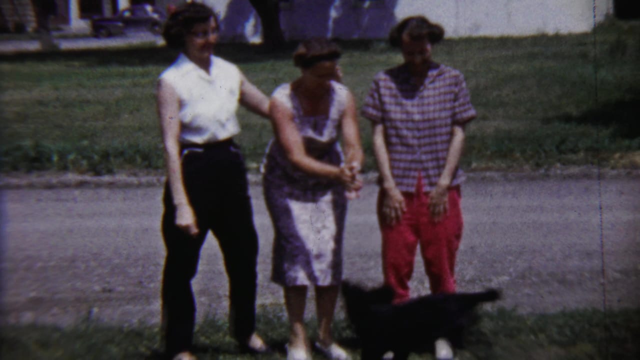 Three women in 1950s clothing stand beside a quiet Saint Francis street, with a black dog entering the lower frame.