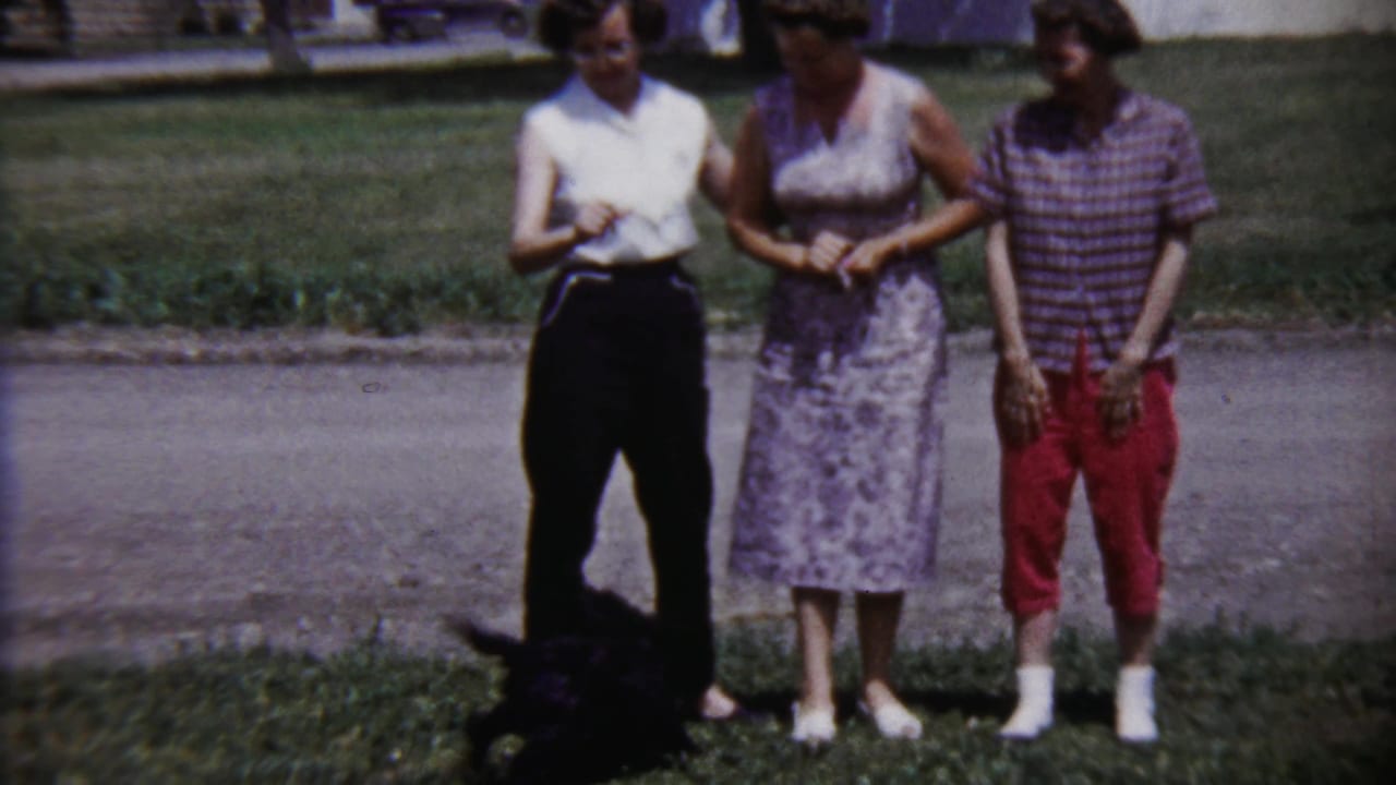 Three women stand close together near a Saint Francis street, with a black dog low in the grass at their feet.