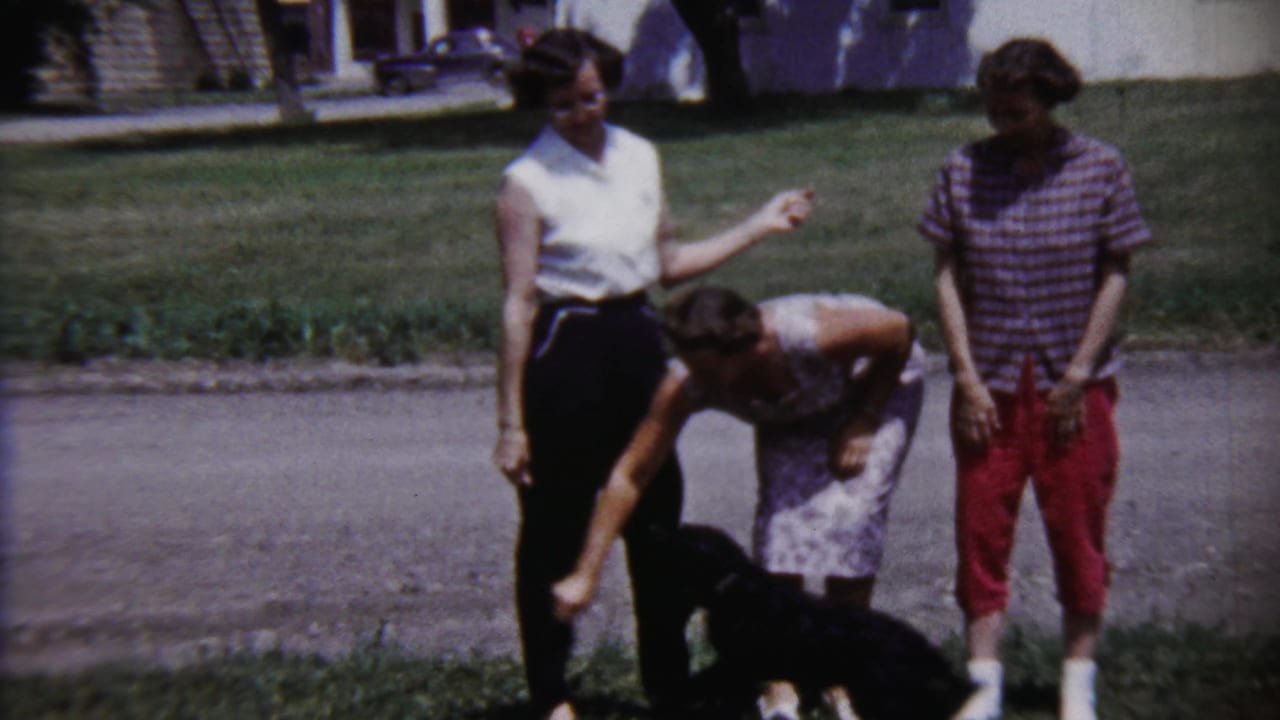 Three young women stand on a lawn while one bends toward a small black puppy.