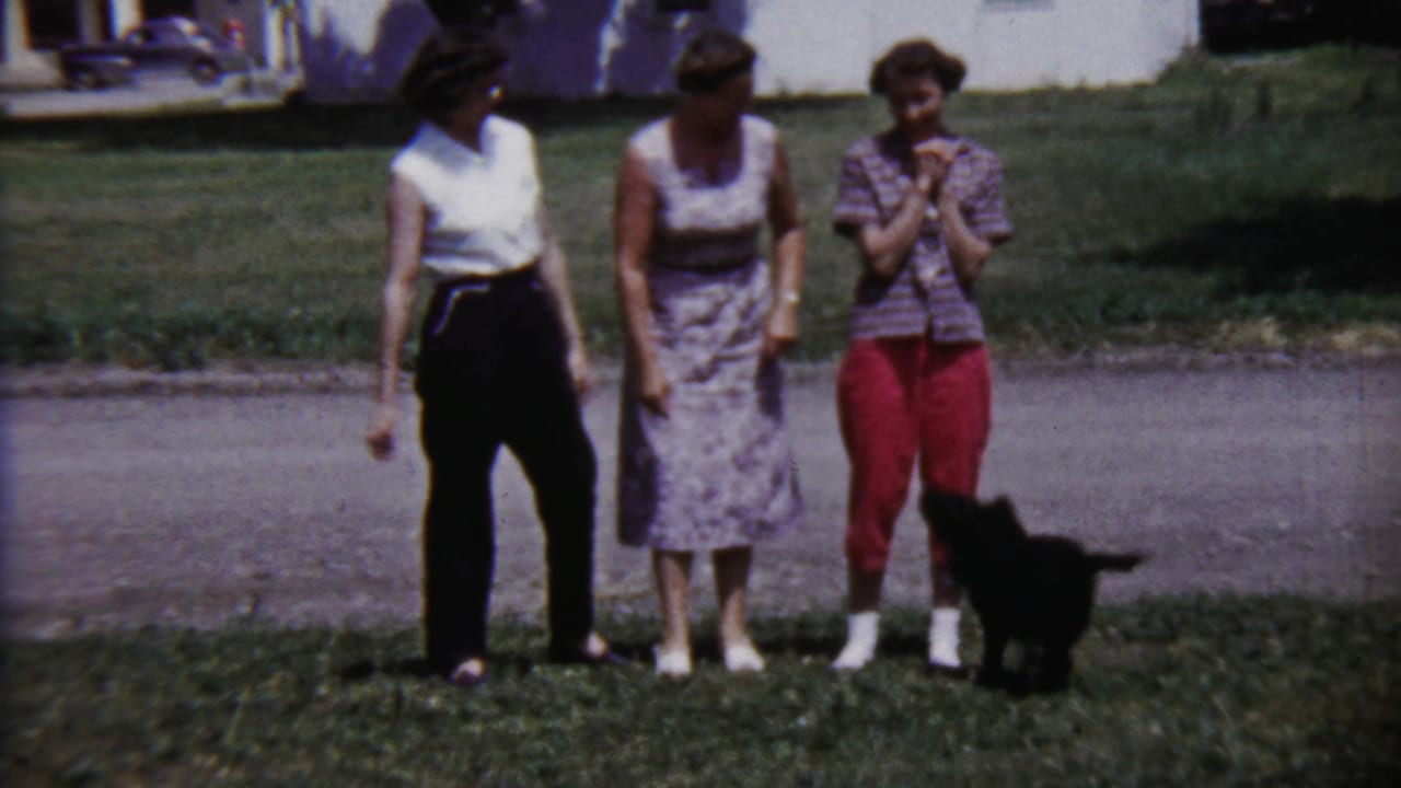 Three young women stand in a row on grass with a small black puppy at their feet.