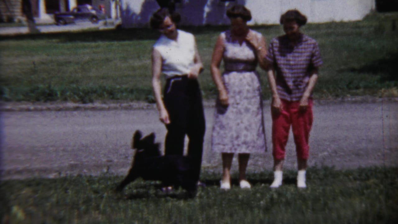 The puppy appears near the feet of three young women in a 1958 Kansas residential yard, with houses and a street behind them.