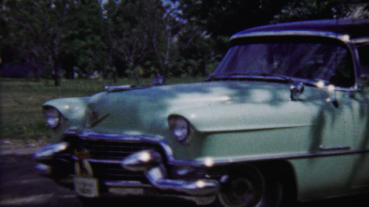 A light green mid-century car is framed from the front side in daylight, with chrome trim, windshield reflections, grass, and trees visible.