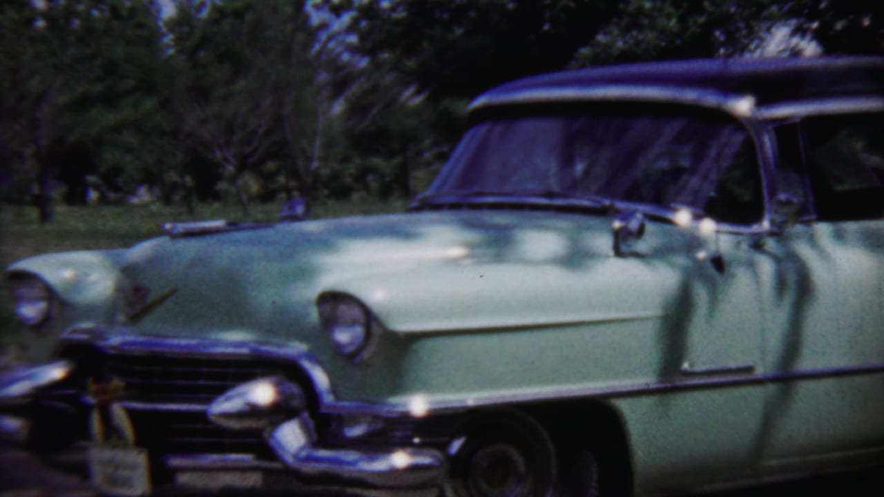 Pale green 1950s sedan parked under trees with chrome bumper and dark roof visible.
