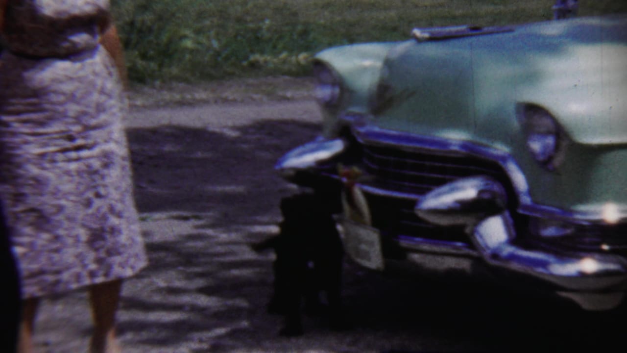 A small dog stands in shadow beside the chrome bumper and grille of the pale green car in the 1958 Kansas driveway scene.