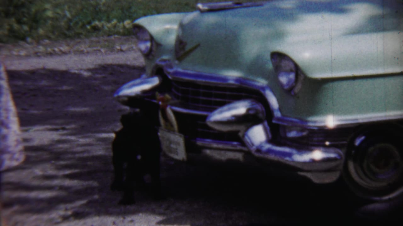 Pale green classic car parked near a curb with a small dark dog and partial adult figure nearby.