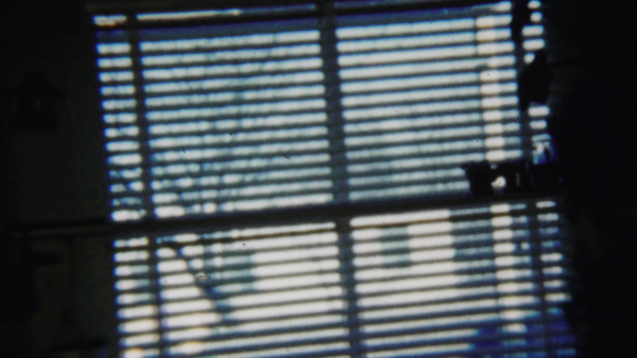 Blue-tinted window view with blinds and silhouetted objects near the sill.