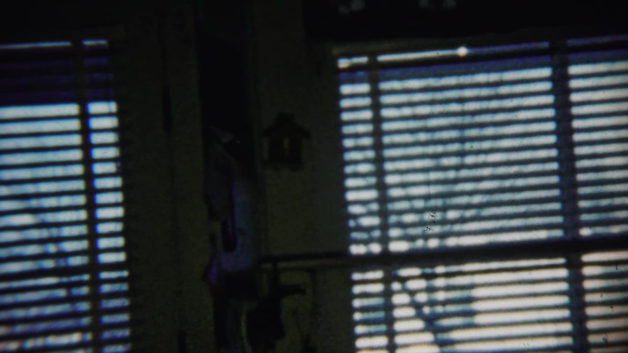 Dark interior wall with bright horizontal blinds and a small wall ornament between windows.