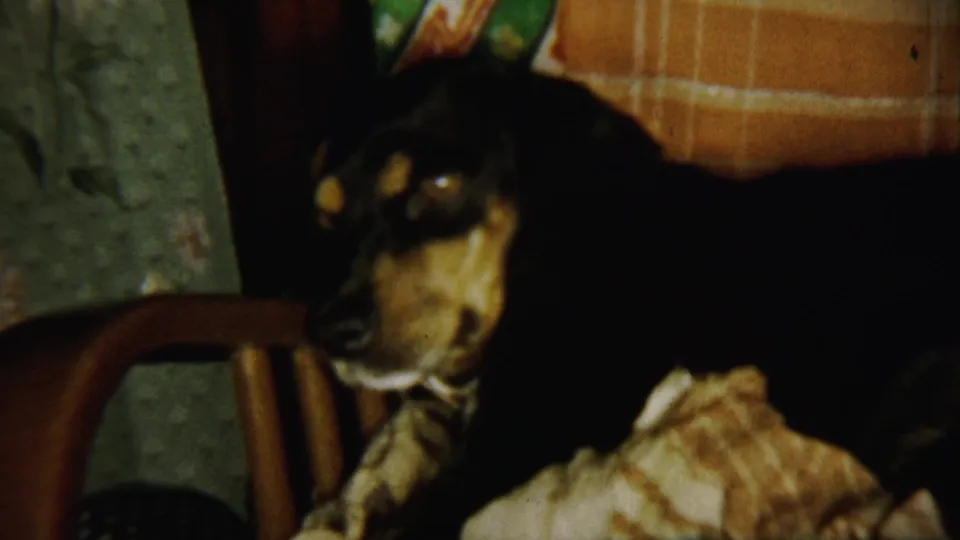 The dog remains on the couch in the Chadron home-movie interior, with its face near a wooden chair arm and patterned fabric.