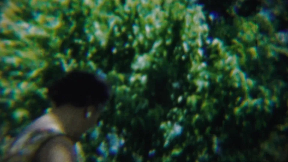 The woman turns away from the camera near dense green bushes, with her floral dress and dark hair visible in the 1959 home movie.